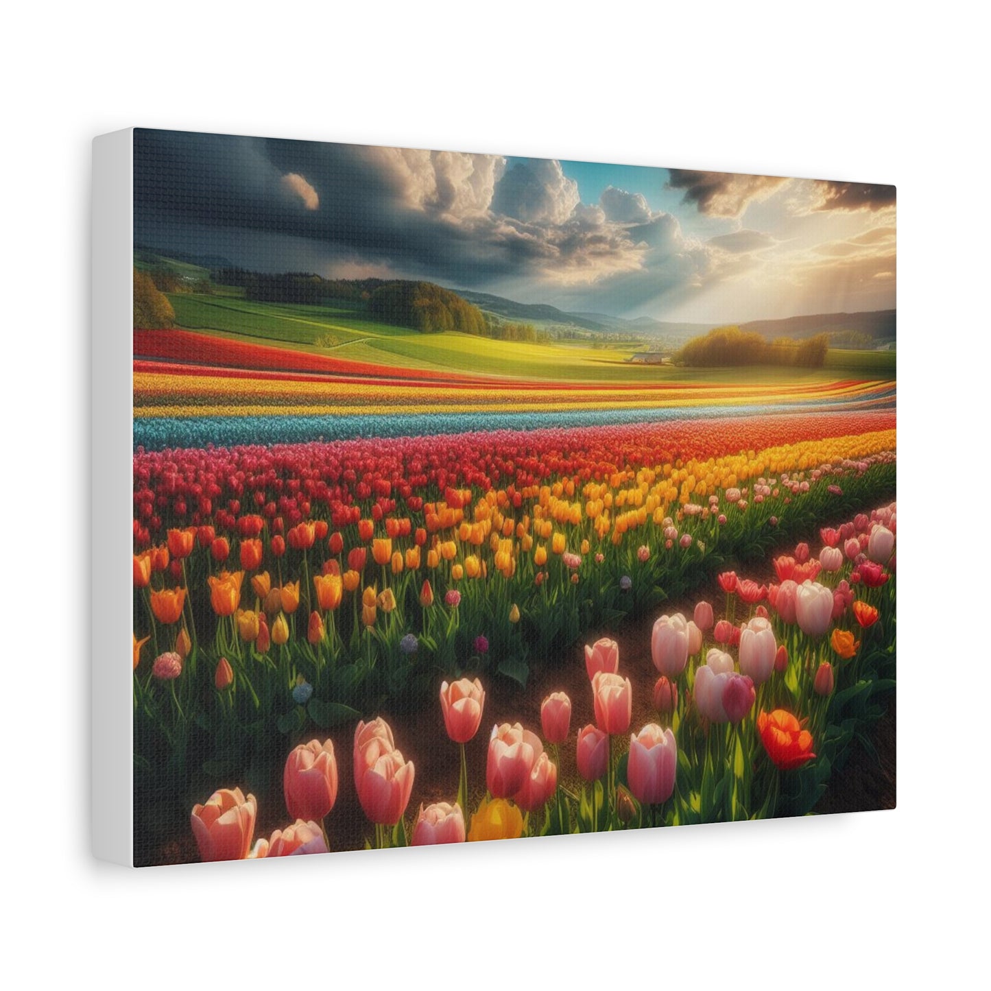 Matte Canvas, Stretched, 1.25"