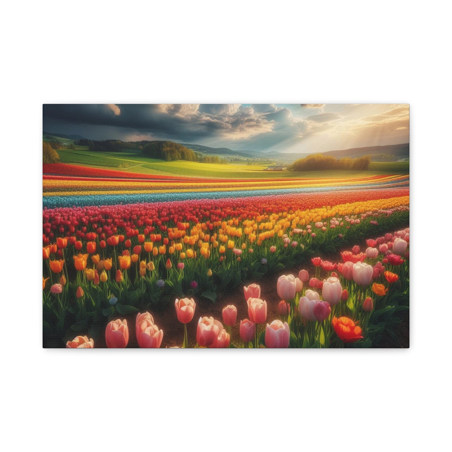 Matte Canvas, Stretched, 1.25"
